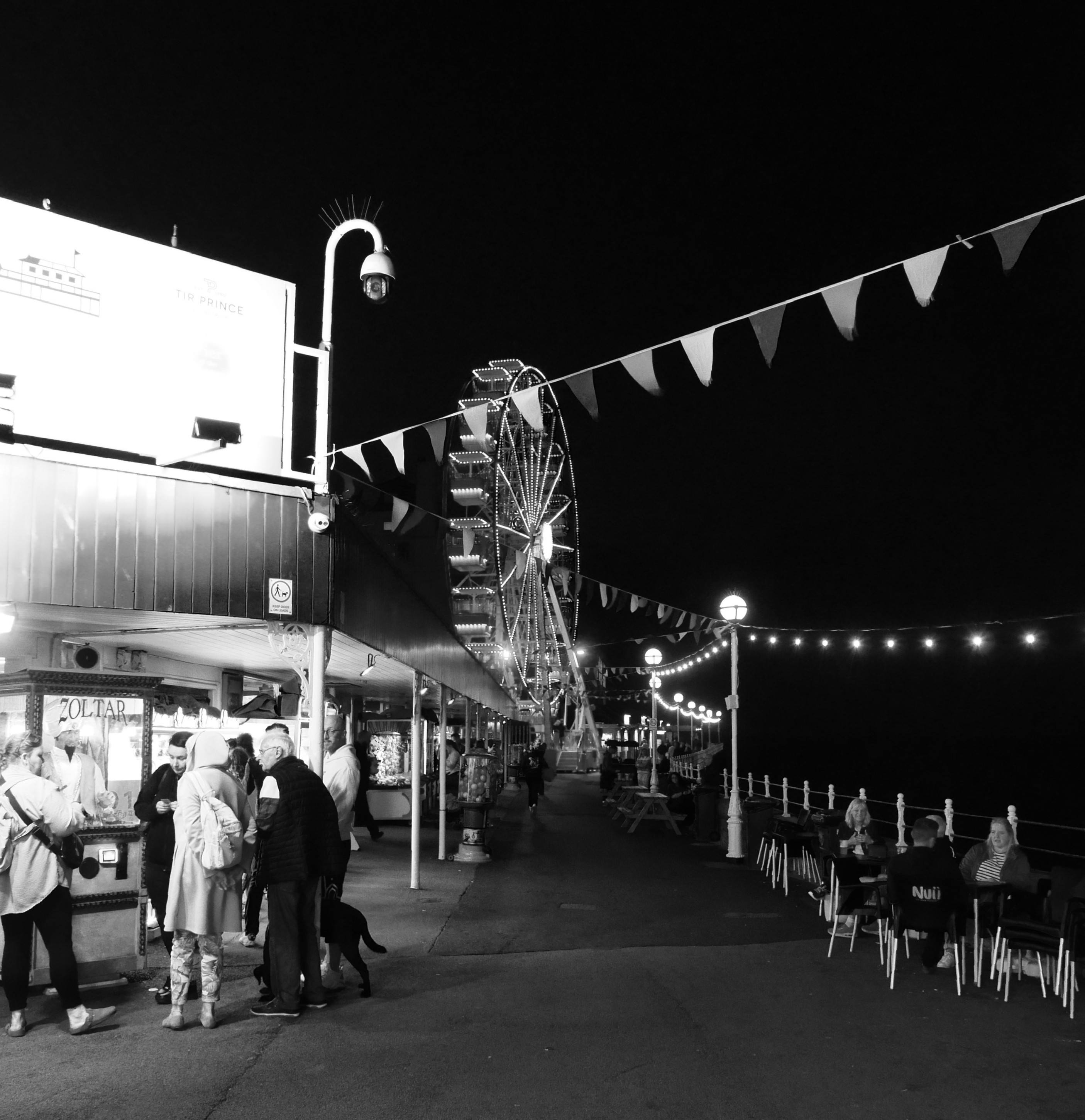 Very dark photo of a bay at night with a full moon shining over it, reflected in the water. Across the bay, street lights illimuninate a row of buildings.